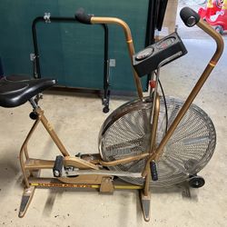Schwinn Classic Air Dyne Exercise Bike