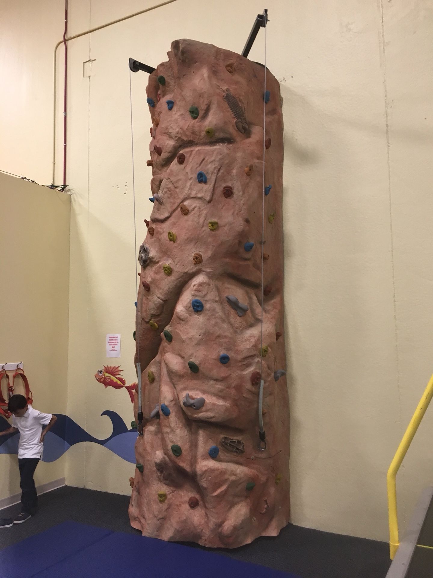 Climbing Wall- auto-belay system.