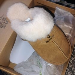Bear Paw Slippers 