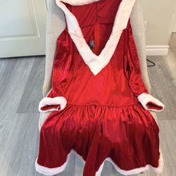Mrs Claus Christmas Dress With Petticoat And Black Belt