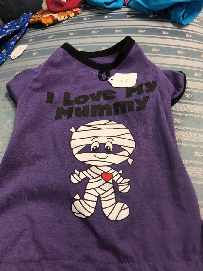 Small dog outfit
