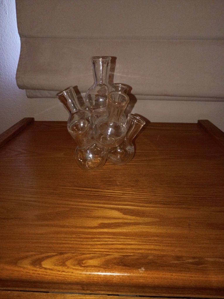 Unique Seed Starter Vase