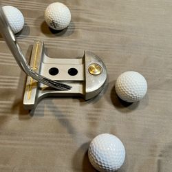 Mallet Style Putter