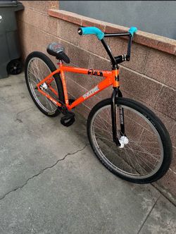 Orange palm( Full trades)