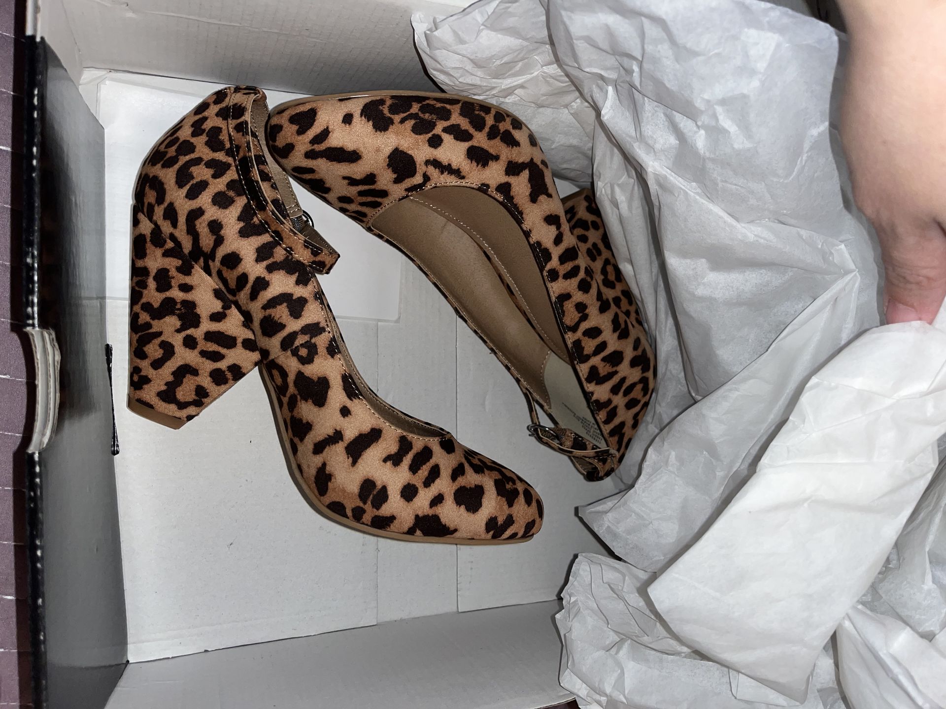 Torrid Heels