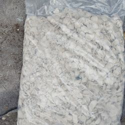 Big Bag Of Shells 