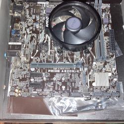 Asus Prime A320M-K And Ryzen 3 4100