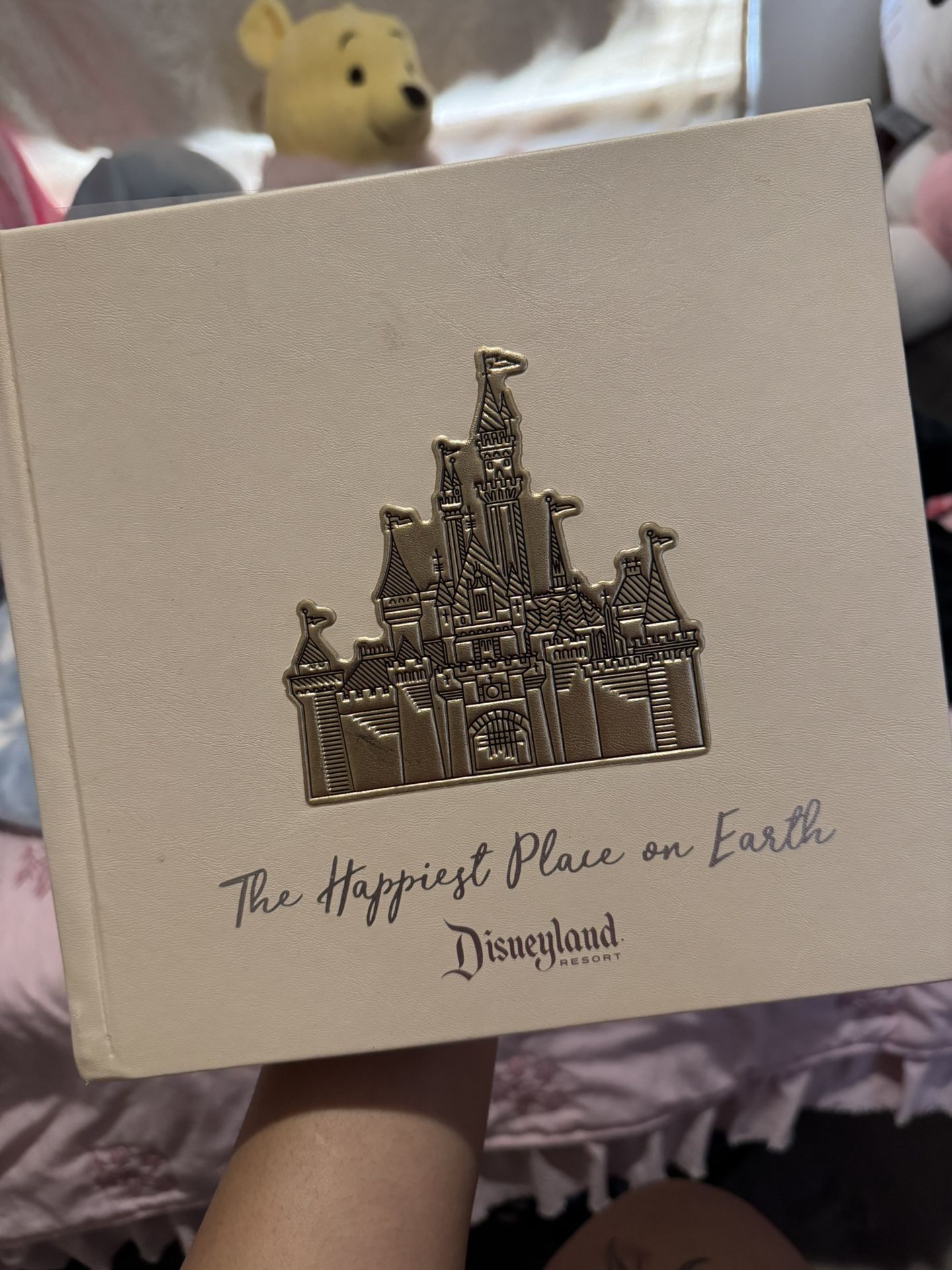 Disney Photo album