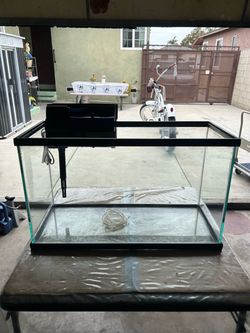 20 gallon fish tank with filter
