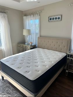 Brand new - Economy to Luxury and all in between for EVERY Budget!!