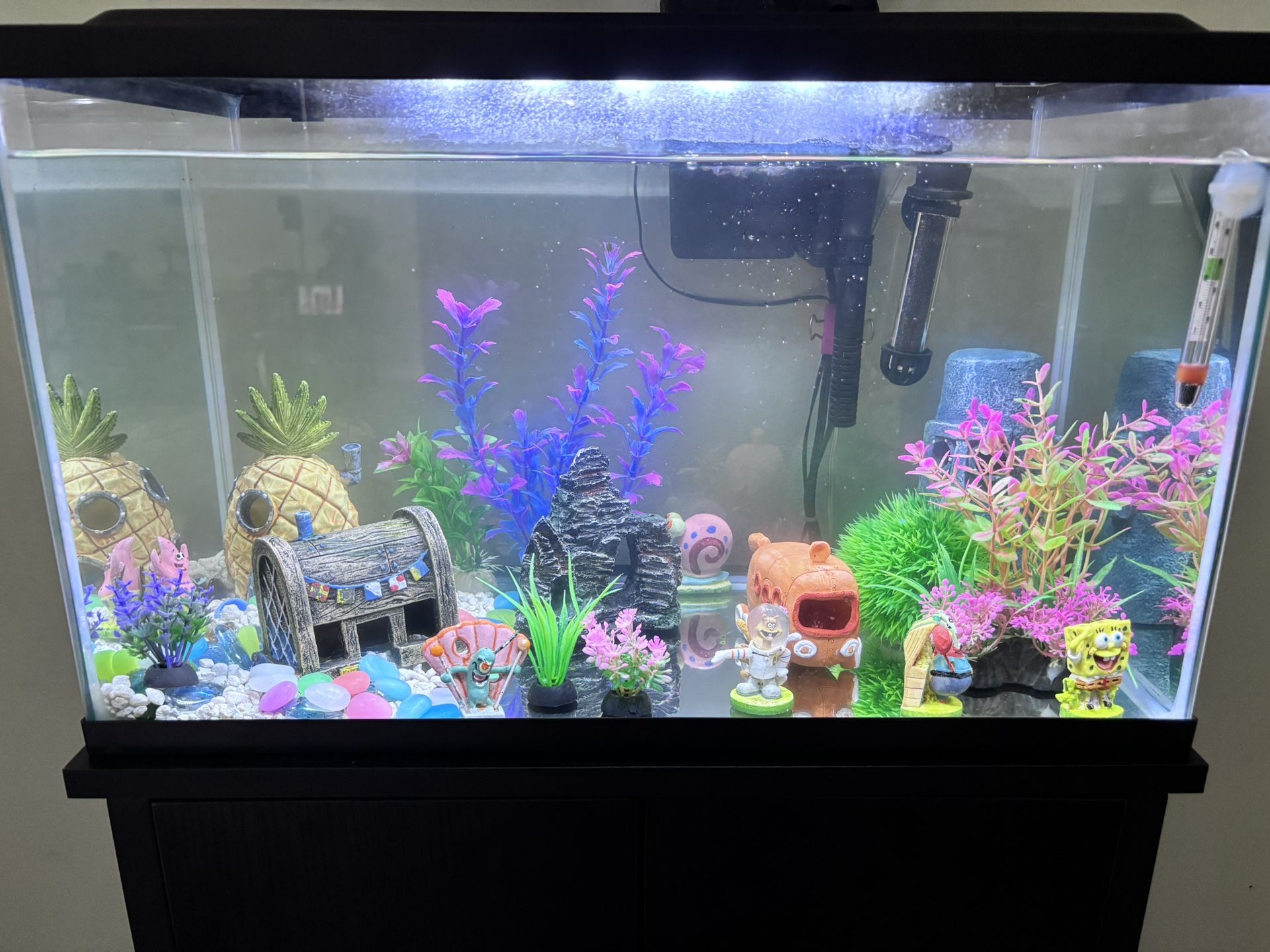 10 Gallon Fish Tank With Water Filter