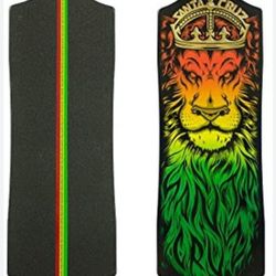 SANTA CRUZ SKATE BOARD BRAND NEW