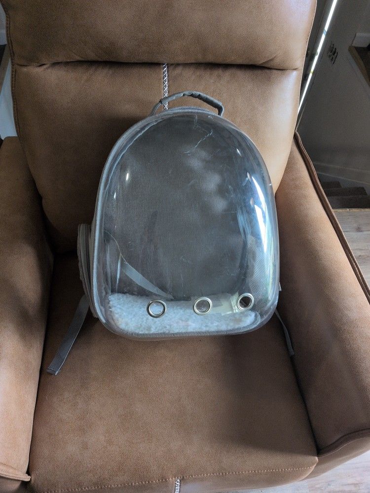 Pet Traveling Career