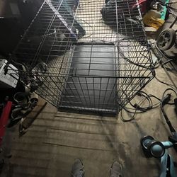 Kennel 