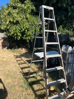 Gorilla Ladder