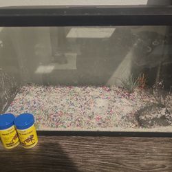 10 Gallon Tank 