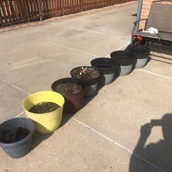 Flower Pots 