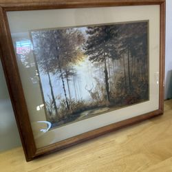 Deer Picture