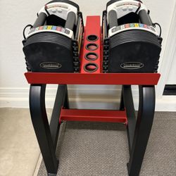 Powerblocks With Stand