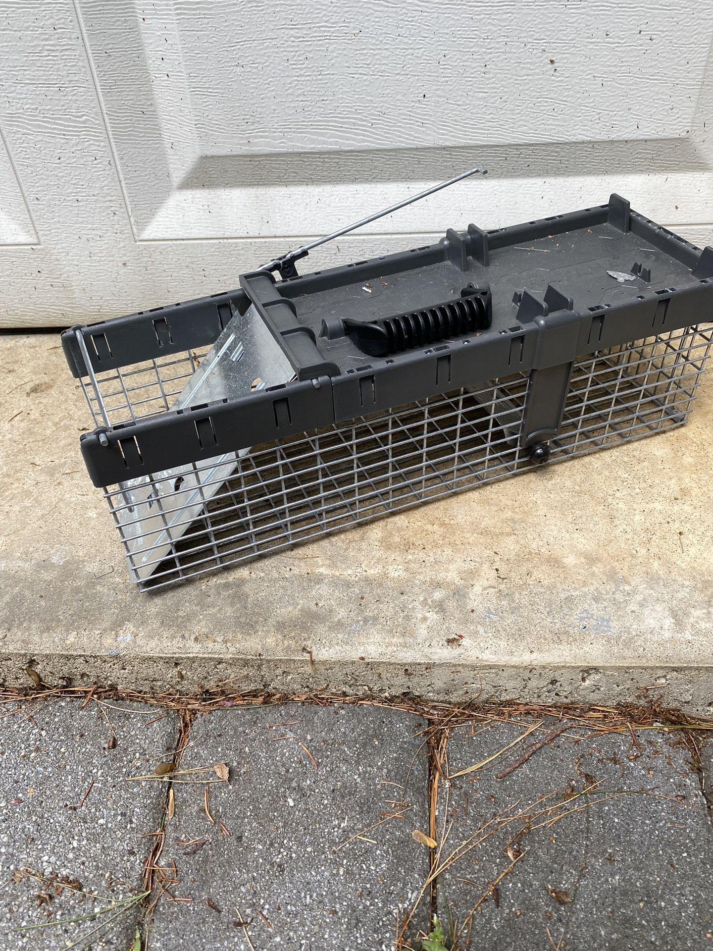 Small Animal Trap