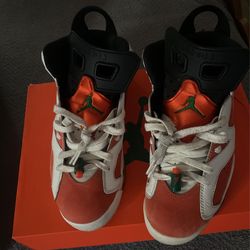 Jordan 6s Gatorade