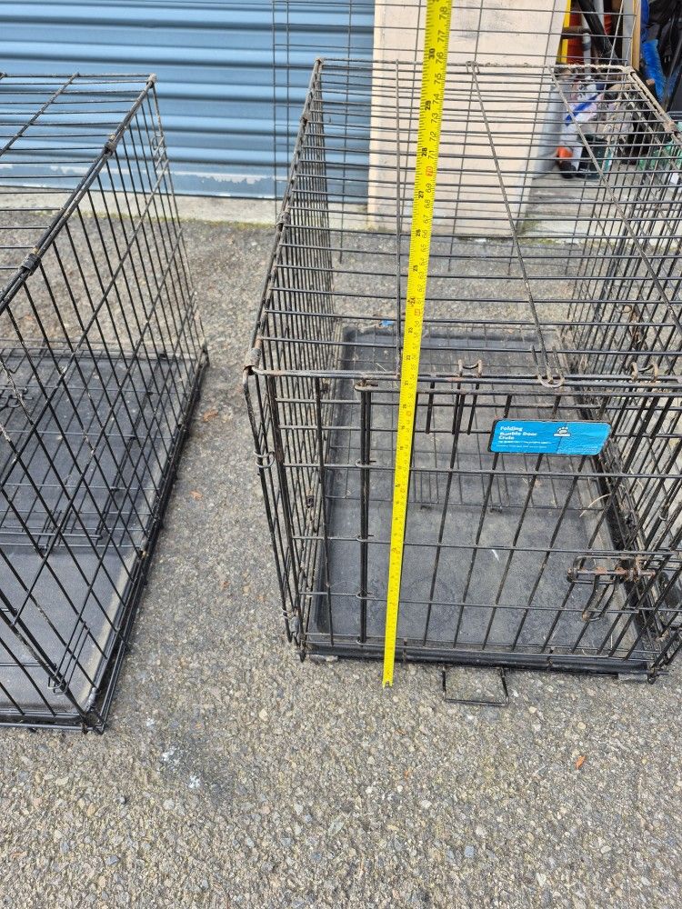 Crate Dog