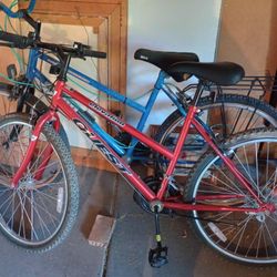 ADULT MOUNTAIN BIKES