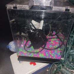 2 Nice Complete Set Fish Tanks 1gal An 2 Gal 8 Each Firm