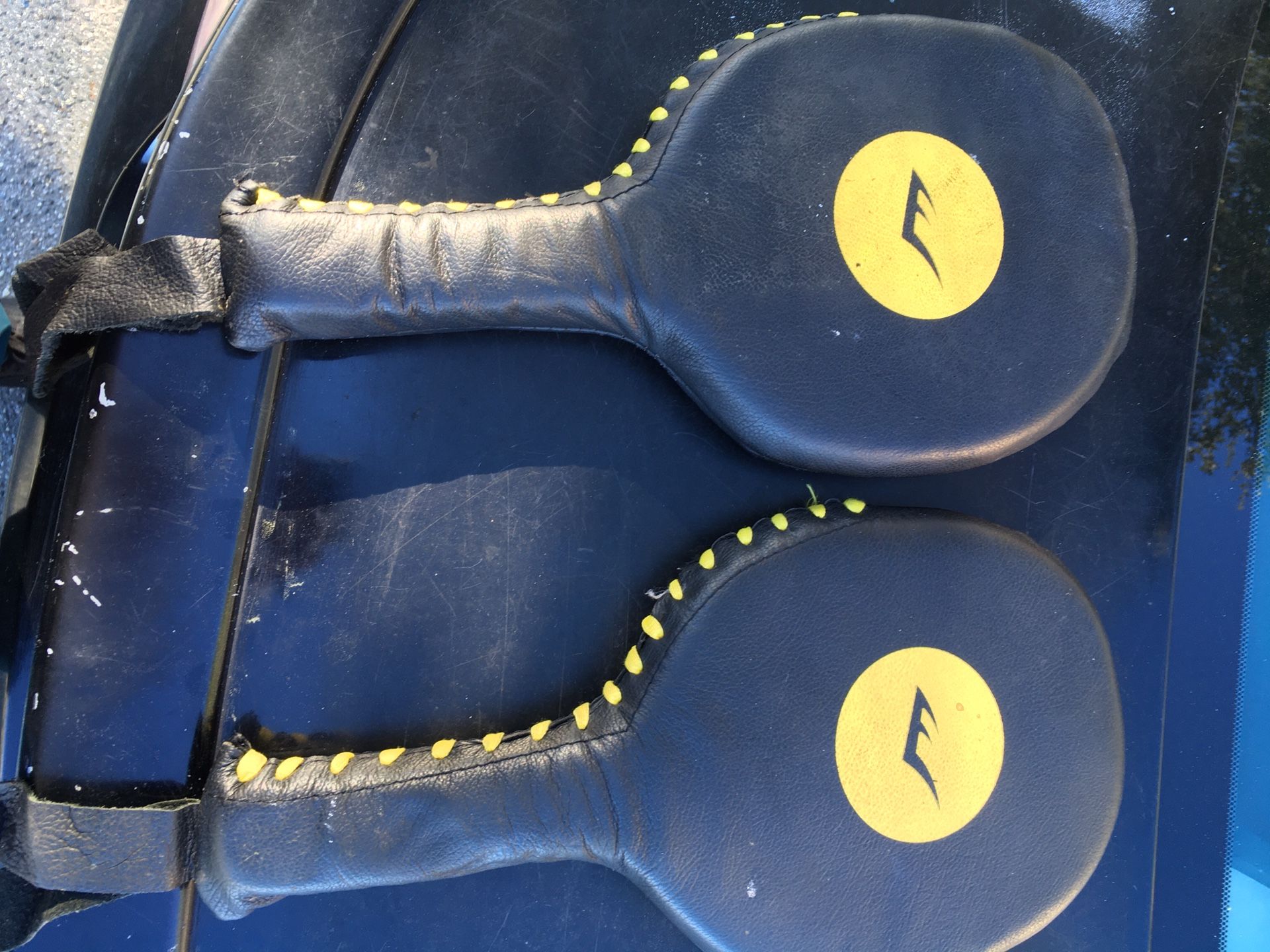 Everlast Punch Mitts