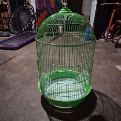 Bird cage used to transfer birds home