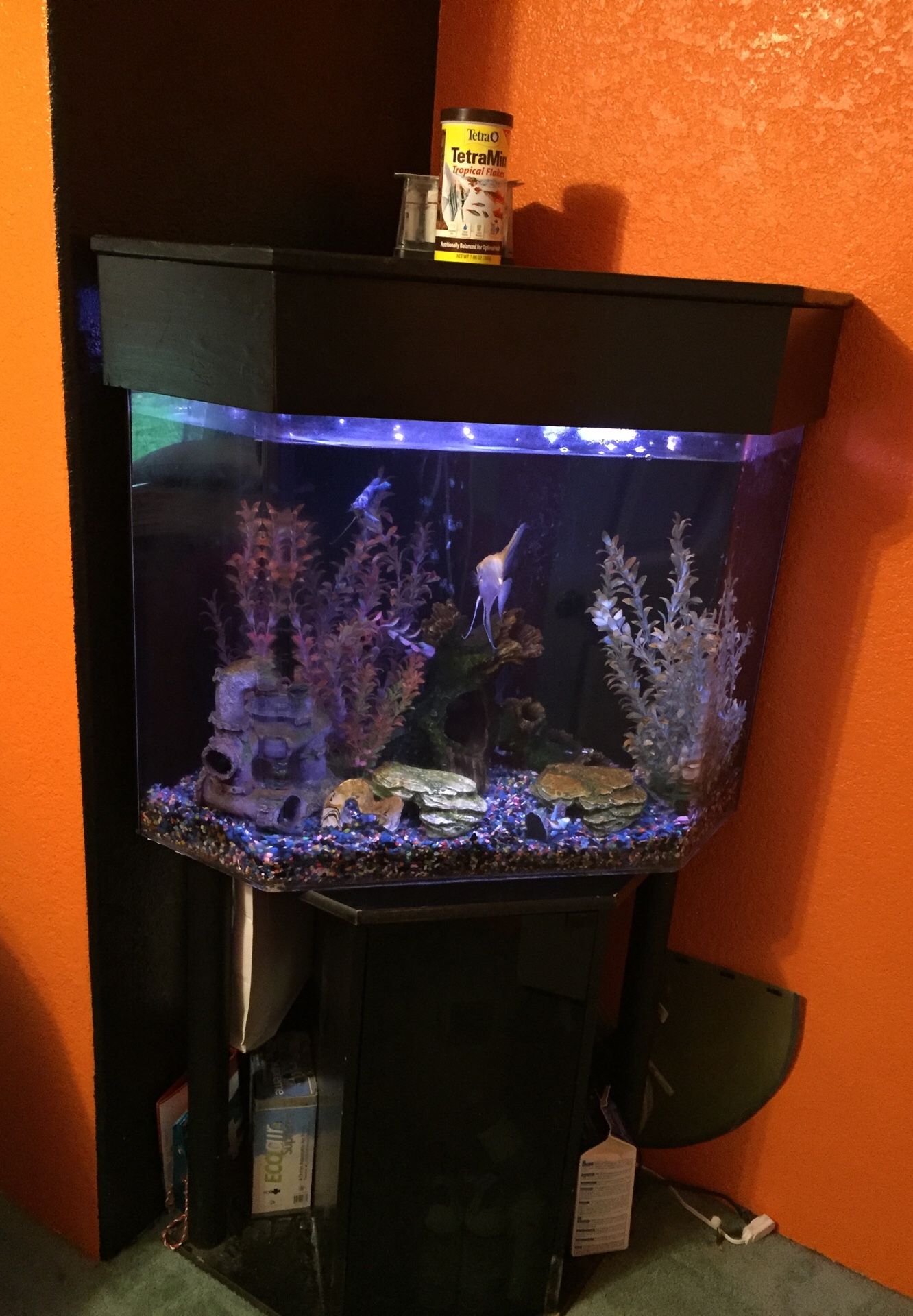 60 gallon acrylic fish tank
