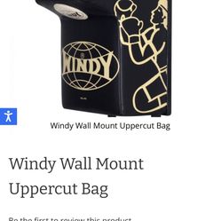 Boxing Bag Wallmount 