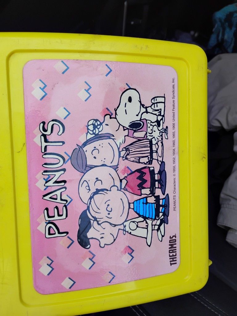 Lunch Box