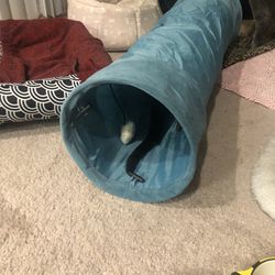 Cats Tunnel 