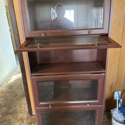 Enclosed Book Case