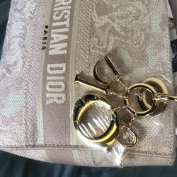 Christian Dior MEDIUM LADY D-LITE BAG Rose Des Vents Toile de Jouy  Embroidery