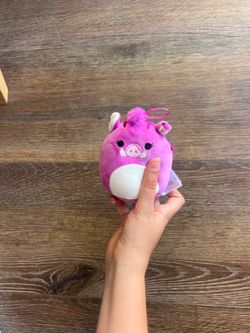 Squishmallow Collection2