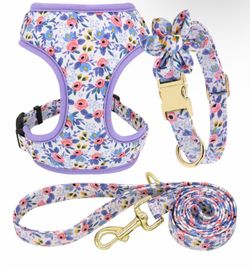 Medium: Cute Girl Dog Collars, Harnesses & Leashes Set