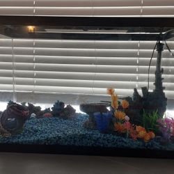 50 gallon fish tank 