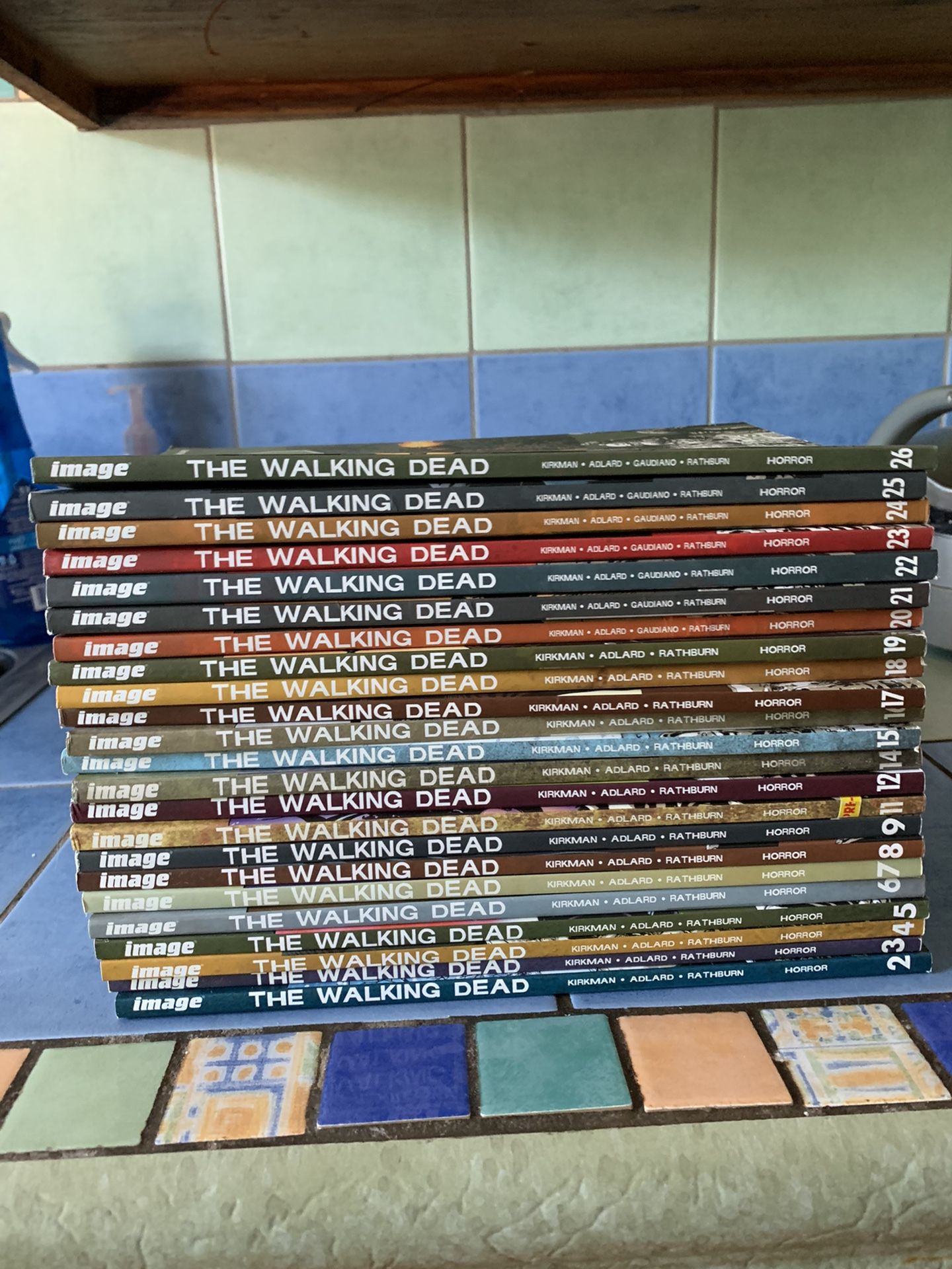The Walking Dead Comics (23 In Total)