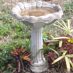 Vintage Concrete Bird Bath with a Pedestal