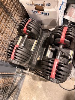 Bowflex dumbbells