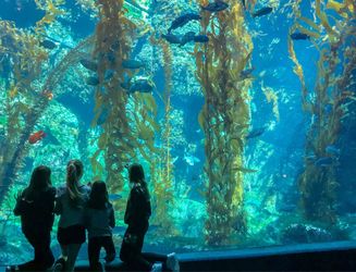 Birch Aquarium Admission