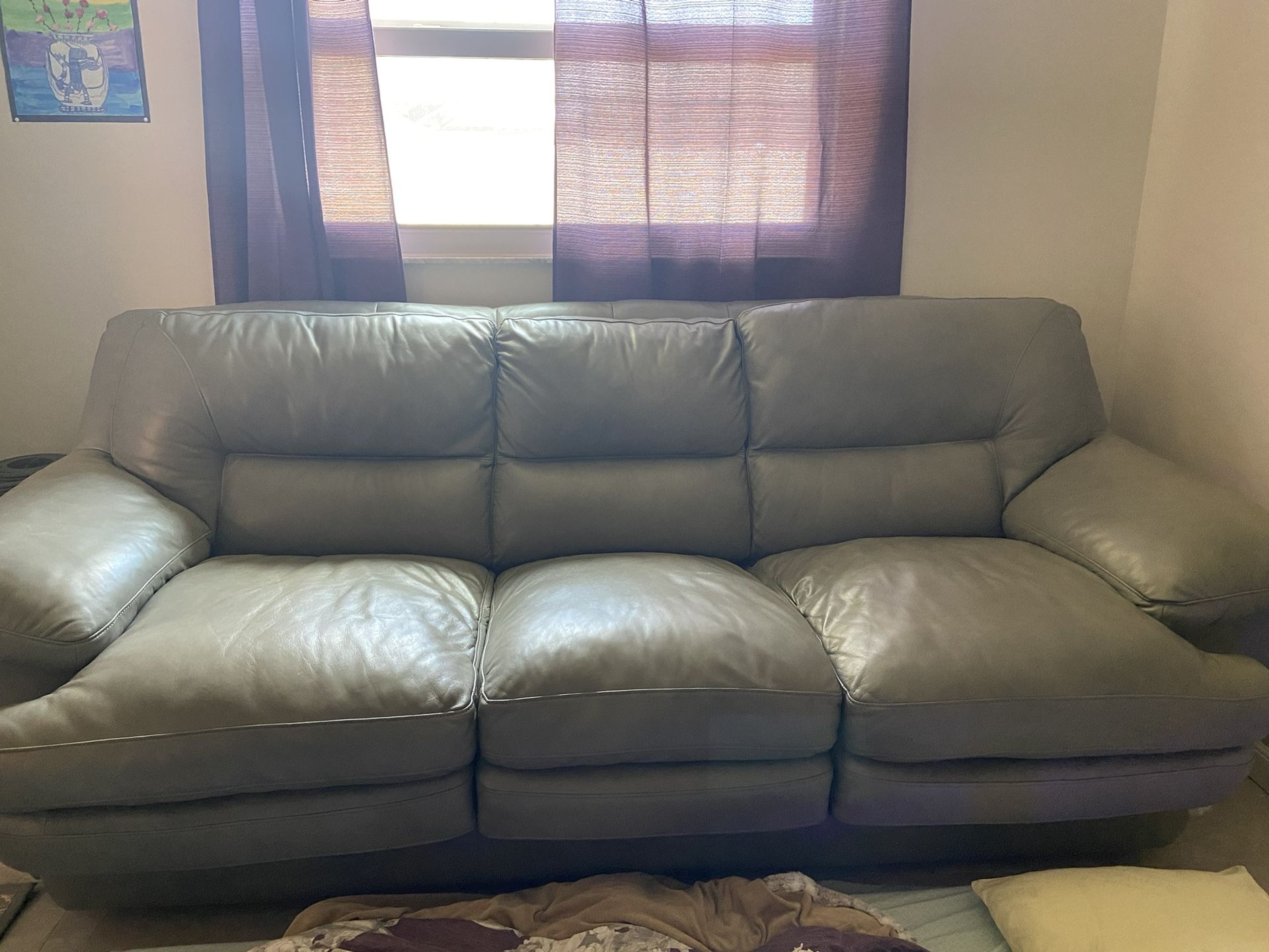 Leather Sofa Sleeper