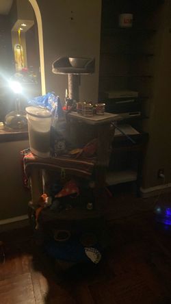Multi-Level Cat Tree with Perch