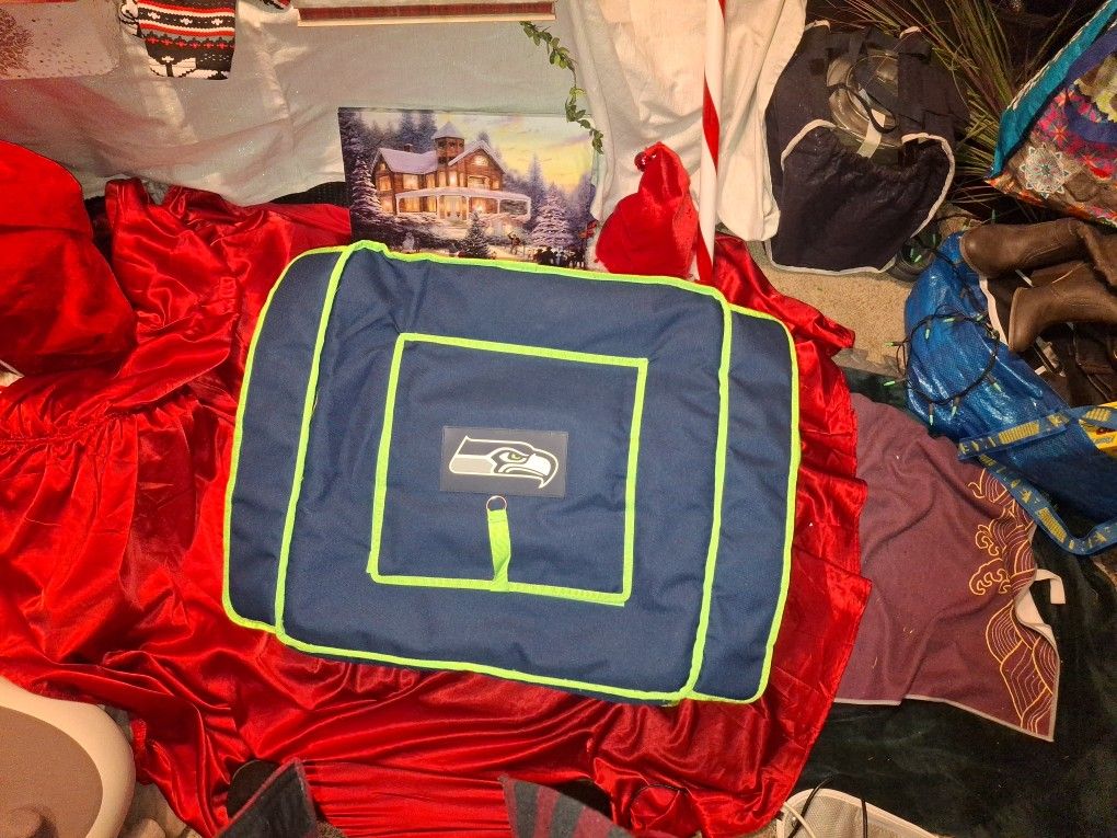 Seahawks Collapsible Cooler Bag