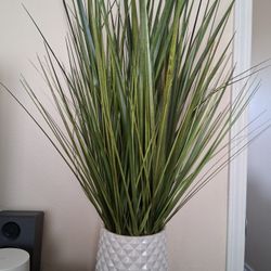 Rent Room or Master Bedroom 