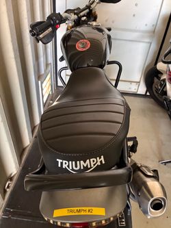 2024 Triumph Speed