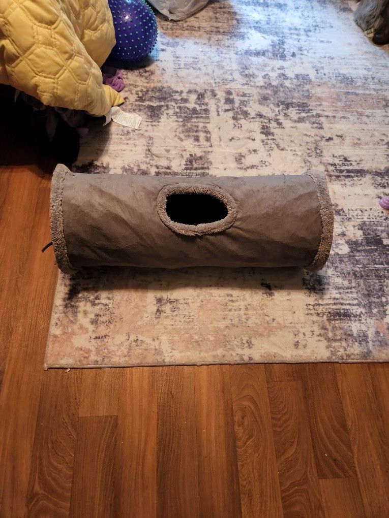 Cat Tunnel