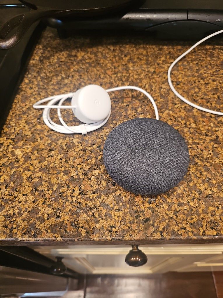 Nest Mini Speaker
